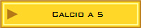 Calcio a 5